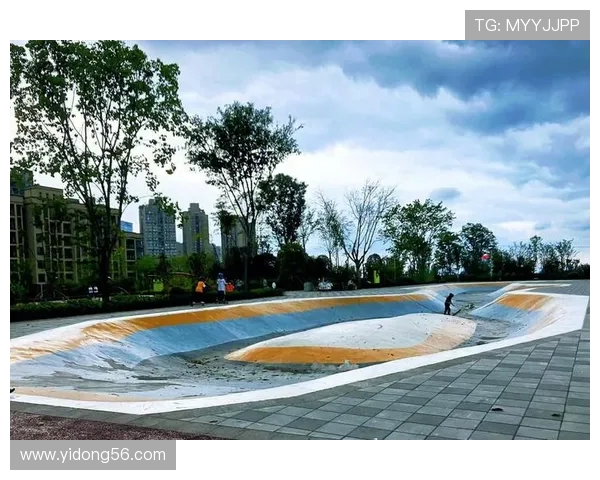 重庆滑板队的技术揭秘与滑板文化的深度探讨